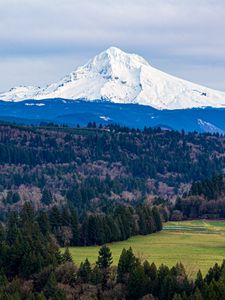Preview wallpaper mountain, forest, landscape, view