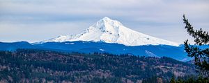 Preview wallpaper mountain, forest, landscape, view