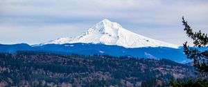 Preview wallpaper mountain, forest, landscape, view