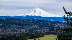 Preview wallpaper mountain, forest, landscape, view