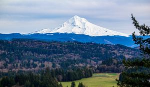 Preview wallpaper mountain, forest, landscape, view