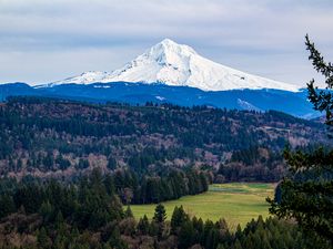 Preview wallpaper mountain, forest, landscape, view