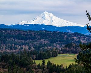 Preview wallpaper mountain, forest, landscape, view