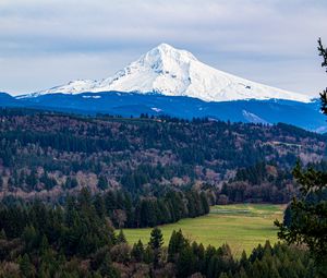 Preview wallpaper mountain, forest, landscape, view