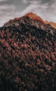 Preview wallpaper mountain, forest, peak, clouds, zillertal alps, italy