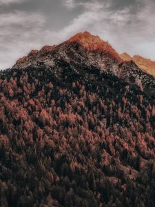 Preview wallpaper mountain, forest, peak, clouds, zillertal alps, italy