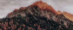 Preview wallpaper mountain, forest, peak, clouds, zillertal alps, italy