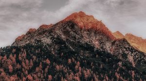 Preview wallpaper mountain, forest, peak, clouds, zillertal alps, italy
