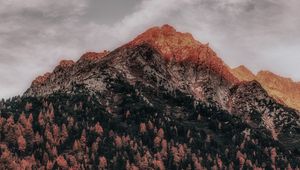 Preview wallpaper mountain, forest, peak, clouds, zillertal alps, italy