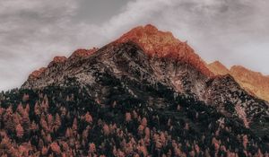 Preview wallpaper mountain, forest, peak, clouds, zillertal alps, italy