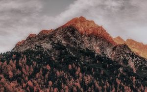 Preview wallpaper mountain, forest, peak, clouds, zillertal alps, italy