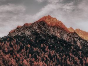 Preview wallpaper mountain, forest, peak, clouds, zillertal alps, italy