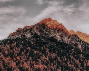 Preview wallpaper mountain, forest, peak, clouds, zillertal alps, italy