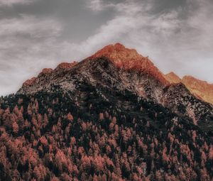 Preview wallpaper mountain, forest, peak, clouds, zillertal alps, italy