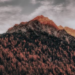 Preview wallpaper mountain, forest, peak, clouds, zillertal alps, italy