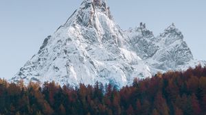 Preview wallpaper mountain, forest, peak, snow, landscape