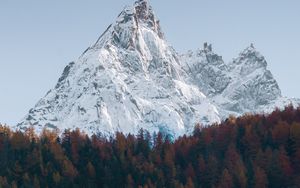 Preview wallpaper mountain, forest, peak, snow, landscape