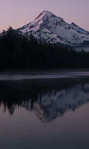 Preview wallpaper mountain, forest, reflection, landscape, nature, lake