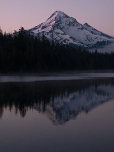 Preview wallpaper mountain, forest, reflection, landscape, nature, lake