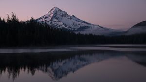 Preview wallpaper mountain, forest, reflection, landscape, nature, lake