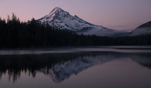 Preview wallpaper mountain, forest, reflection, landscape, nature, lake