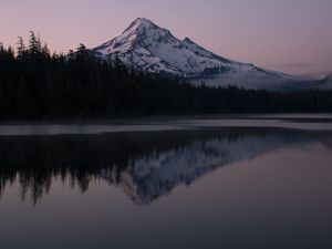 Preview wallpaper mountain, forest, reflection, landscape, nature, lake