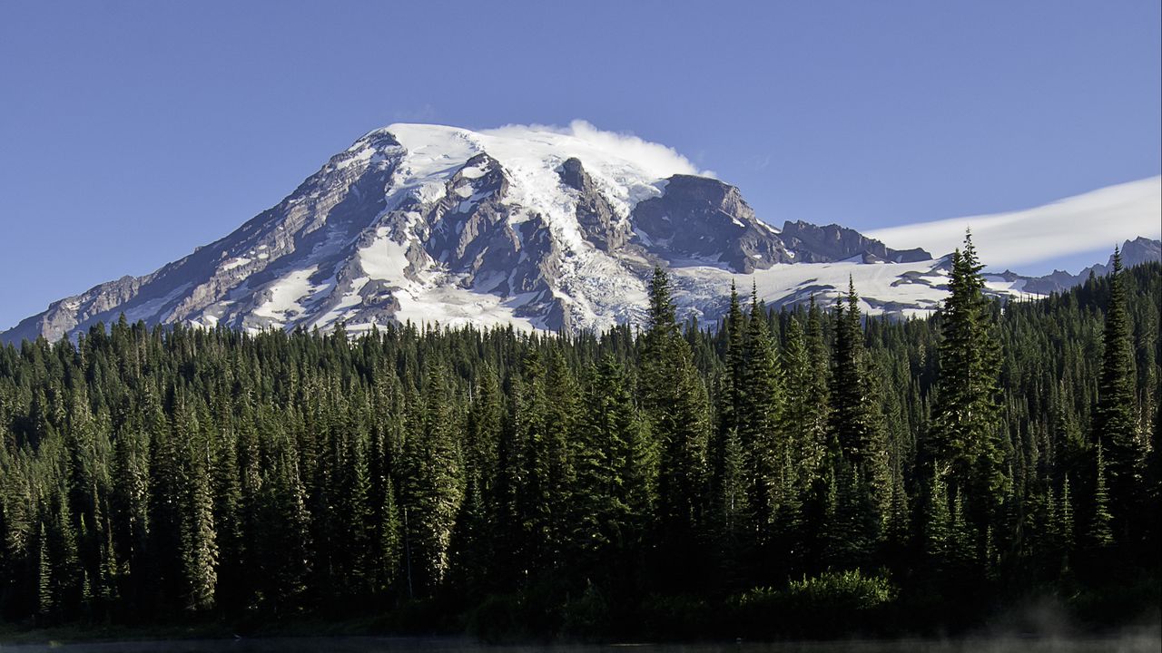 Wallpaper mountain, forest, reflection, lake, flowers, nature