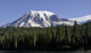 Preview wallpaper mountain, forest, reflection, lake, flowers, nature