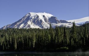 Preview wallpaper mountain, forest, reflection, lake, flowers, nature