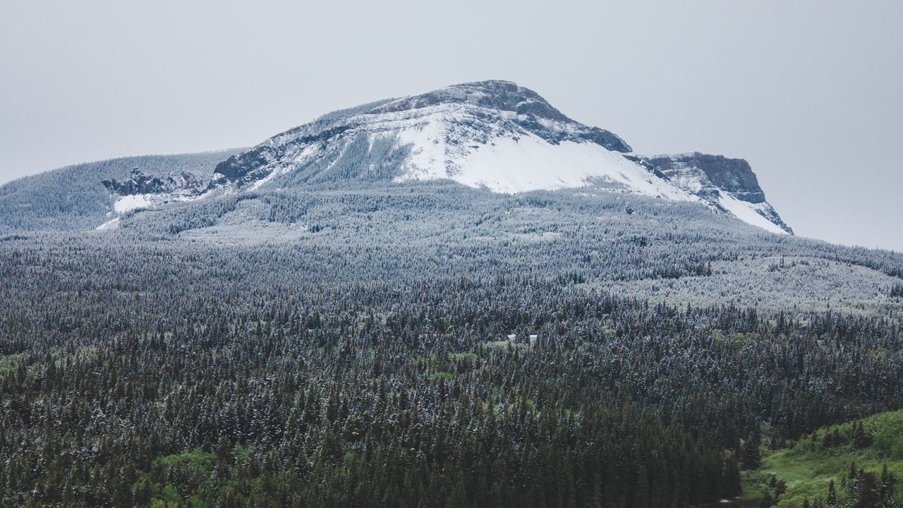 Wallpaper mountain, forest, river, shore, landscape