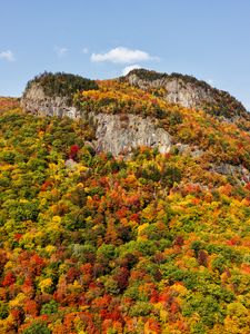 Preview wallpaper mountain, forest, slope, autumn, landscape