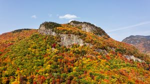 Preview wallpaper mountain, forest, slope, autumn, landscape
