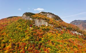 Preview wallpaper mountain, forest, slope, autumn, landscape