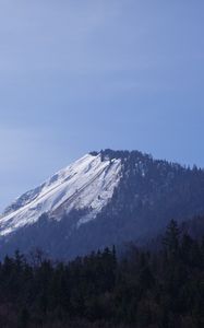 Preview wallpaper mountain, forest, snow, nature, landscape