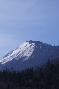 Preview wallpaper mountain, forest, snow, nature, landscape