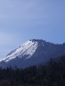 Preview wallpaper mountain, forest, snow, nature, landscape