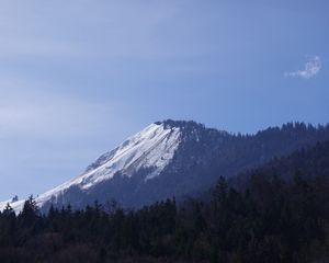 Preview wallpaper mountain, forest, snow, nature, landscape