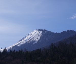 Preview wallpaper mountain, forest, snow, nature, landscape