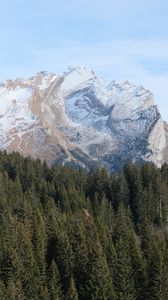 Preview wallpaper mountain, forest, snow, landscape