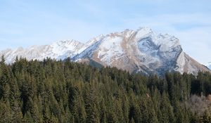 Preview wallpaper mountain, forest, snow, landscape