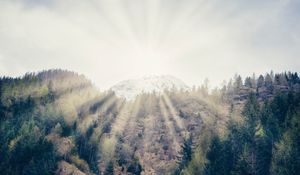 Preview wallpaper mountain, forest, sunlight, bright, slope, waterfall