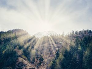 Preview wallpaper mountain, forest, sunlight, bright, slope, waterfall