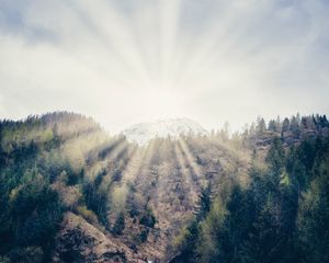 Preview wallpaper mountain, forest, sunlight, bright, slope, waterfall