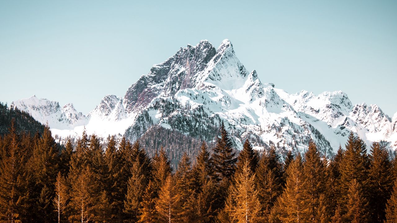 Wallpaper mountain, forest, trees, peak, snowy