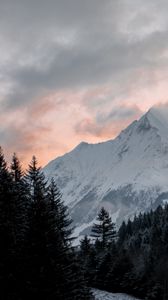 Preview wallpaper mountain, forest, trees, peak, clouds, landscape