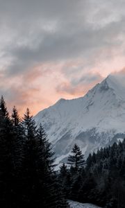 Preview wallpaper mountain, forest, trees, peak, clouds, landscape