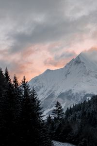 Preview wallpaper mountain, forest, trees, peak, clouds, landscape