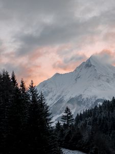 Preview wallpaper mountain, forest, trees, peak, clouds, landscape