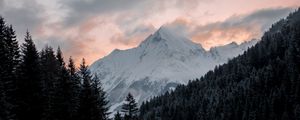 Preview wallpaper mountain, forest, trees, peak, clouds, landscape