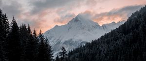 Preview wallpaper mountain, forest, trees, peak, clouds, landscape